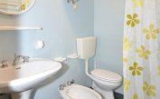 appartament CAVALLINO: C6 - salle de bain avec rideau de douche (exemple)